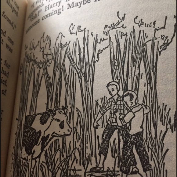 Hardback Book The Bobbsey Twins The Secret At The Seashore 1962 Laura Lee Hope - Picture 5 of 5
